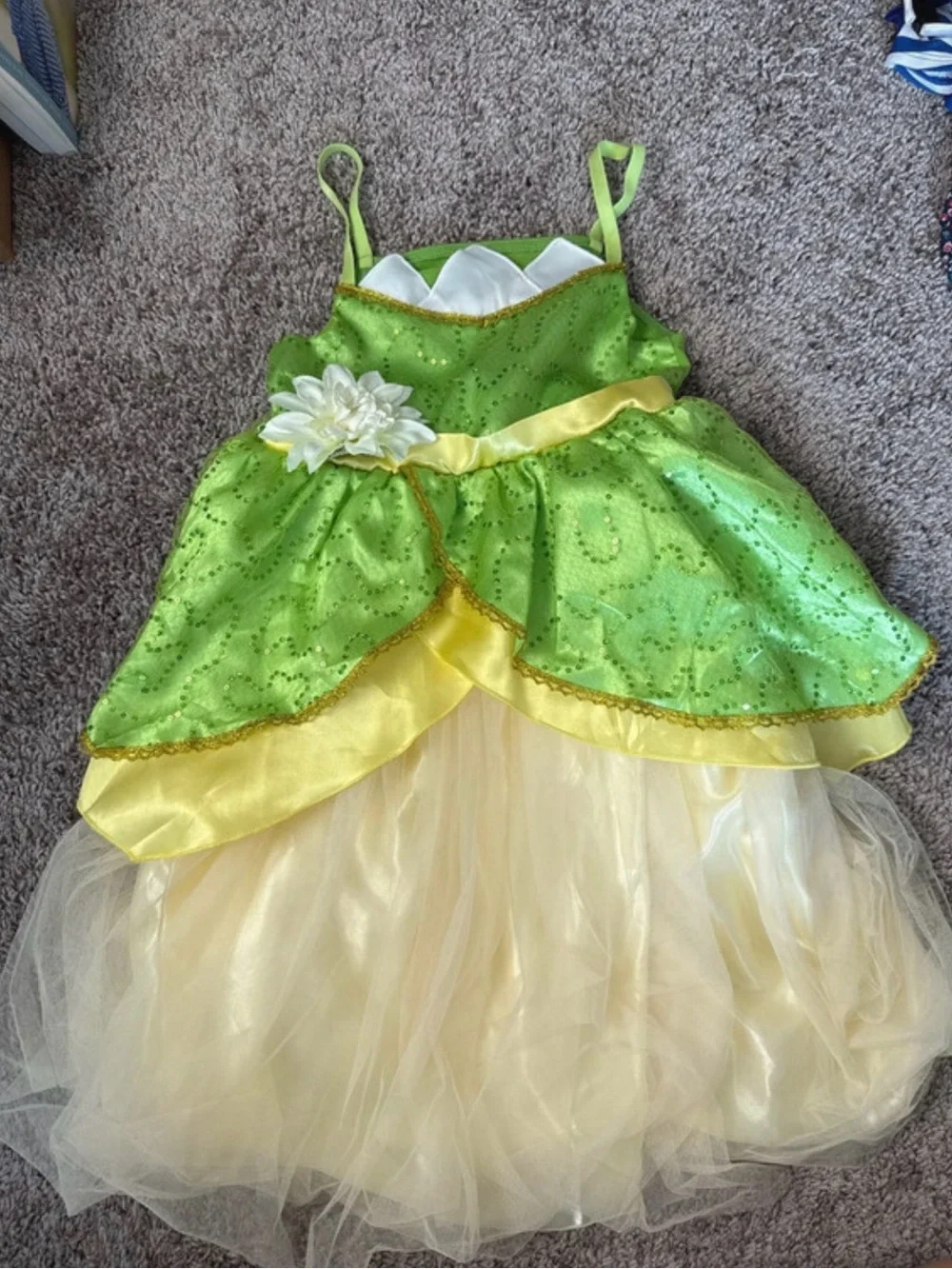 Tiana Dress - Disney Princess